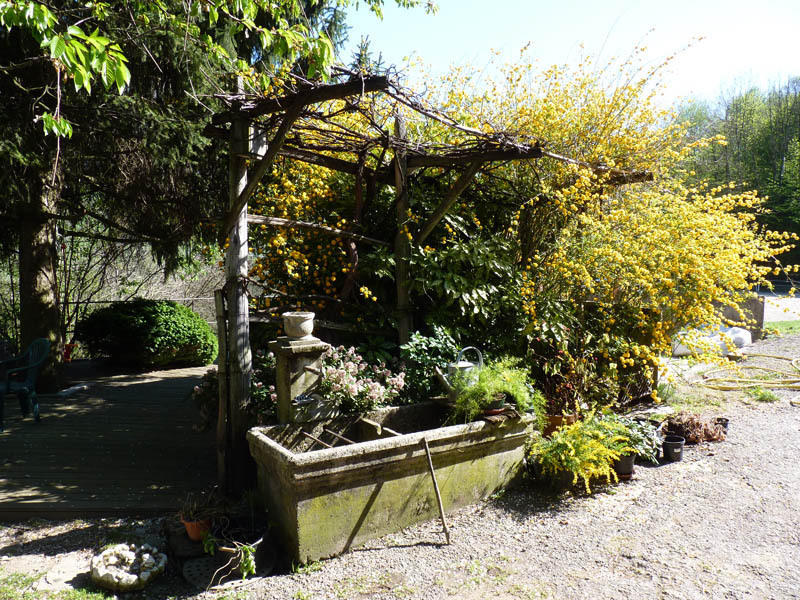 Domaine De La Safraniere - Chambre D'Hote Saint-Léger エクステリア 写真