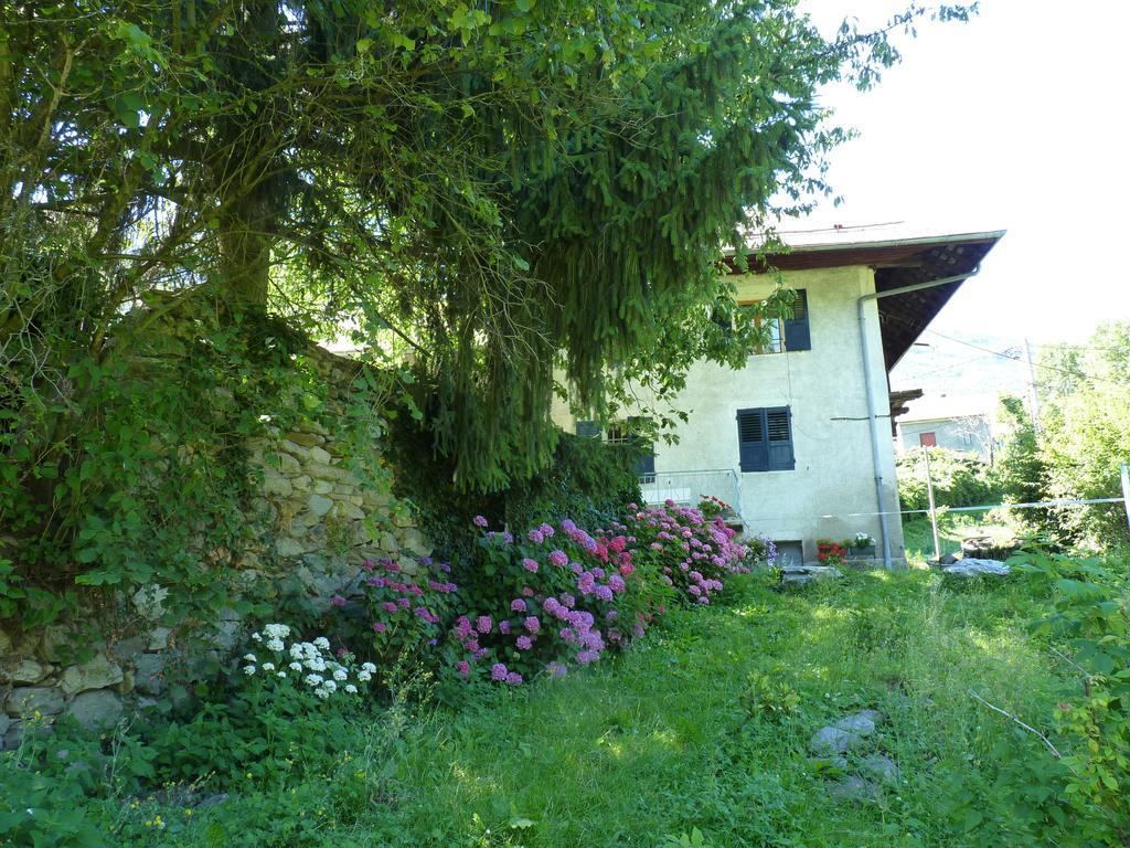 Domaine De La Safraniere - Chambre D'Hote Saint-Léger エクステリア 写真